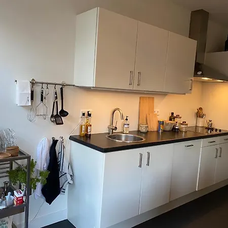 Apartment Spacious On Location In